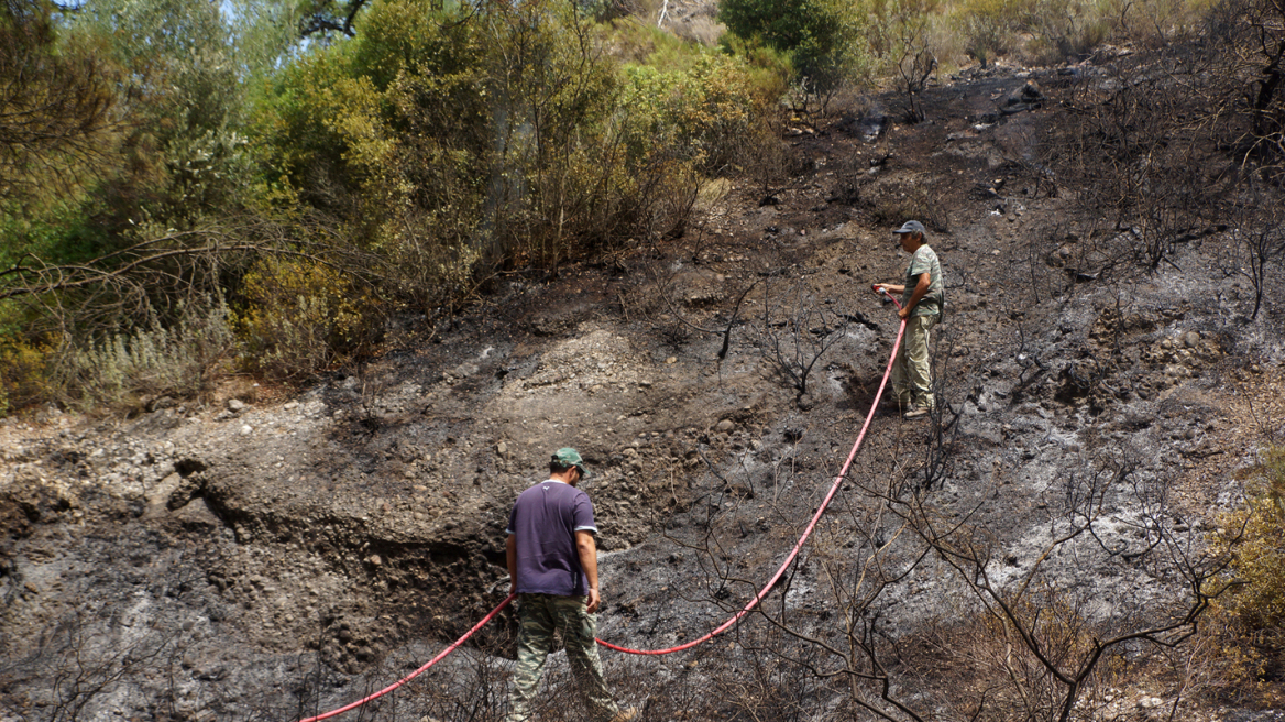 Φωτογραφίες: Πρόλαβαν τη φωτιά στη Ρόδο πριν κατακάψει το πευκόδασος